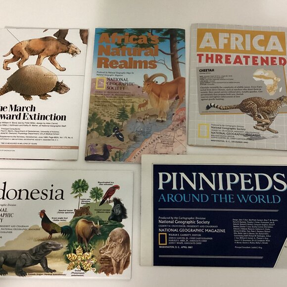 National Geographic Society Books Africa Cheetah Animals Extinction Indonesia - Picture 1 of 6
